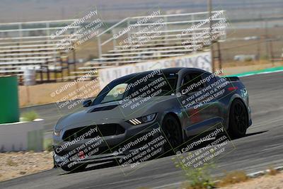 media/May-07-2022-Cobra Owners Club of America (Sat) [[e681d2ddb7]]/Blue/Session 1 (Turn 4)/